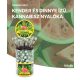 Cannabis Watermelon Kush Lollies - Display Container (100 Lollies)