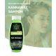 Șampon de canabis Hemp4Life 500 ml