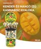 Bomboane Cannabis Mango Kush - Display Container (100 bomboane)