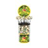Bomboane Cannabis Mango Kush - Display Container (100 bomboane)