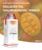 Nutriversum Liquid MSM+C Hyaluron Colagen 500 ml mango