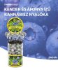 Cannabis Blueberry Haze Lollies - Container de prezentare (100 Lollies)