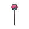 Bubble Gum Acadea cu canabis