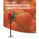 Căpșuni Haze Cannabis Lollipop