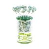 Cannabis White Widow Pops - recipient de prezentare (100 de bomboane)