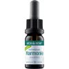 MEDIHEMP Cânepă completă 10%, 1000 mg, 10 ml