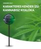 White Widow Cannabis Lollipop