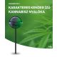 White Widow Cannabis Lollipop
