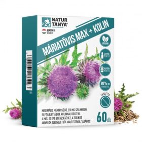 Natur Tanya® Armurariu Max + Colină – 60 buc.