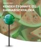 Pepene galben Kush Acadea de canabis
