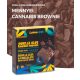 CannaBites Gorilla Glue Cannabis Brownie