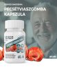 Natur Tanya® Organic Ganoderma Capsule 60 Capsule
