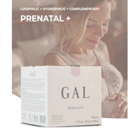 GAL+ Încuietoare pentru copii