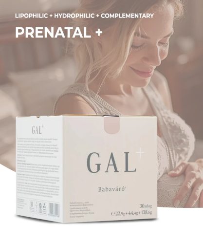 GAL+ Încuietoare pentru copii