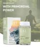 GAL PrimaVie® Shilajit