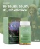 Complexul GAL B