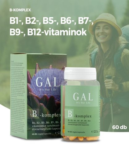 Complexul GAL B