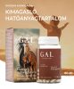GAL Shoden® Ashwagandha