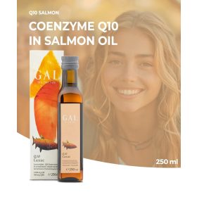 GAL Q10 Somon