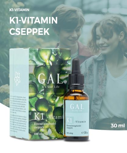 GAL K1-Vitamine /Family Pack/
