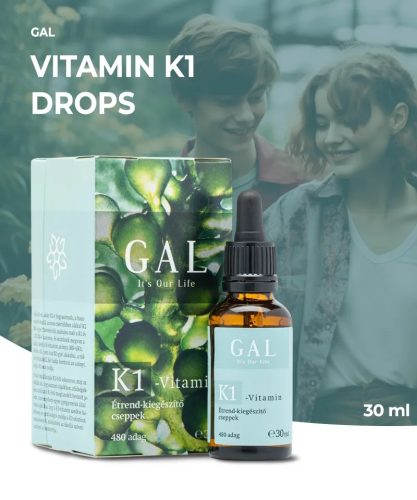 GAL Vitamina K1 /Format familial/