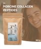 GAL Peptide de colagen porcin